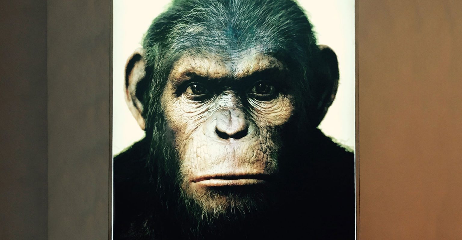 01_texturas-tbwa