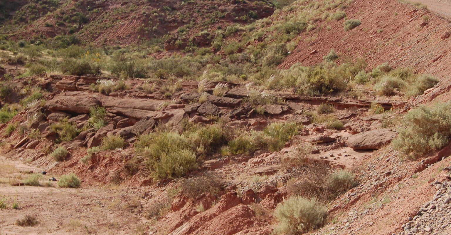 02 (3)