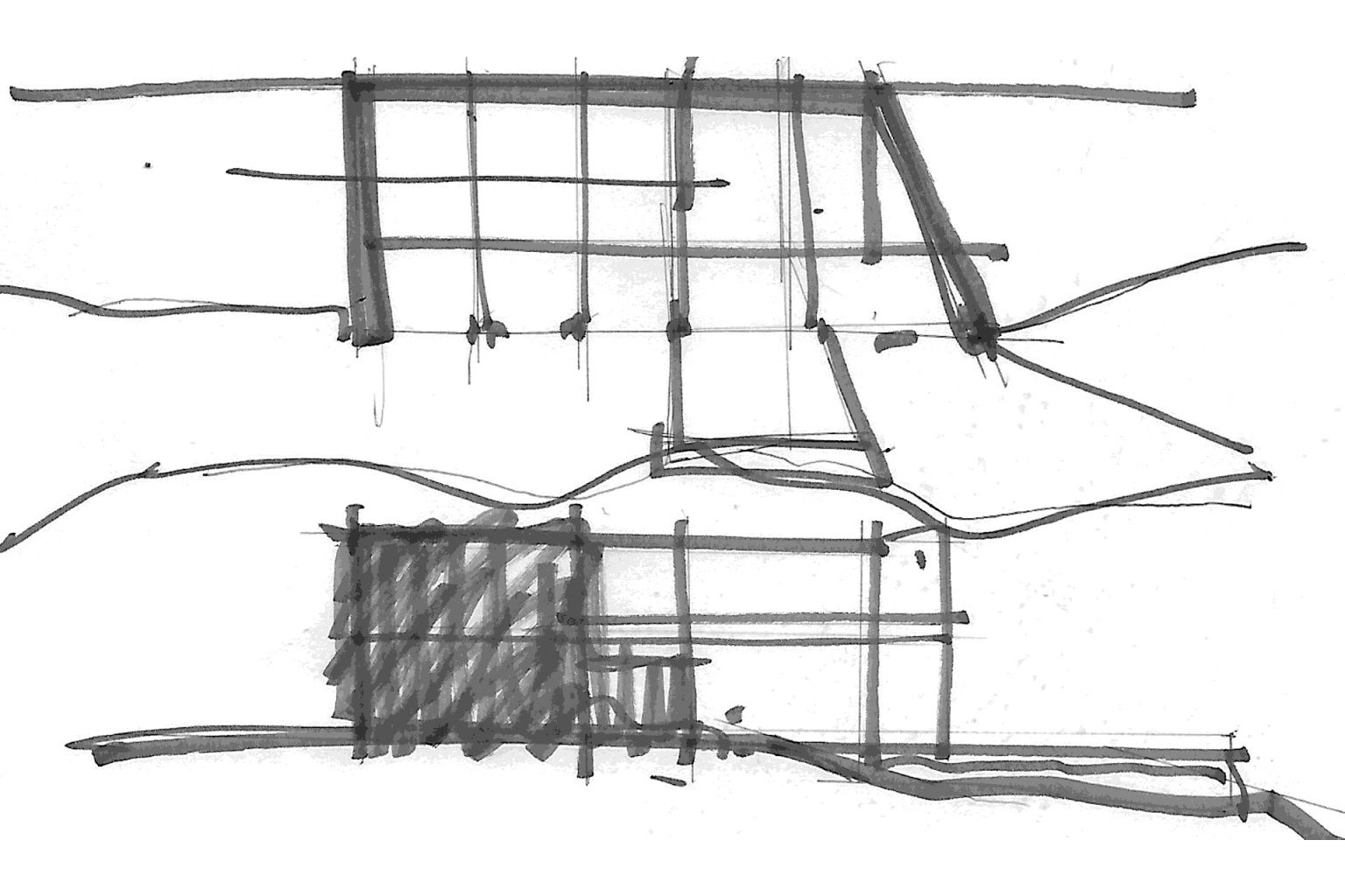 Casa-lomo-ballena-dibujo