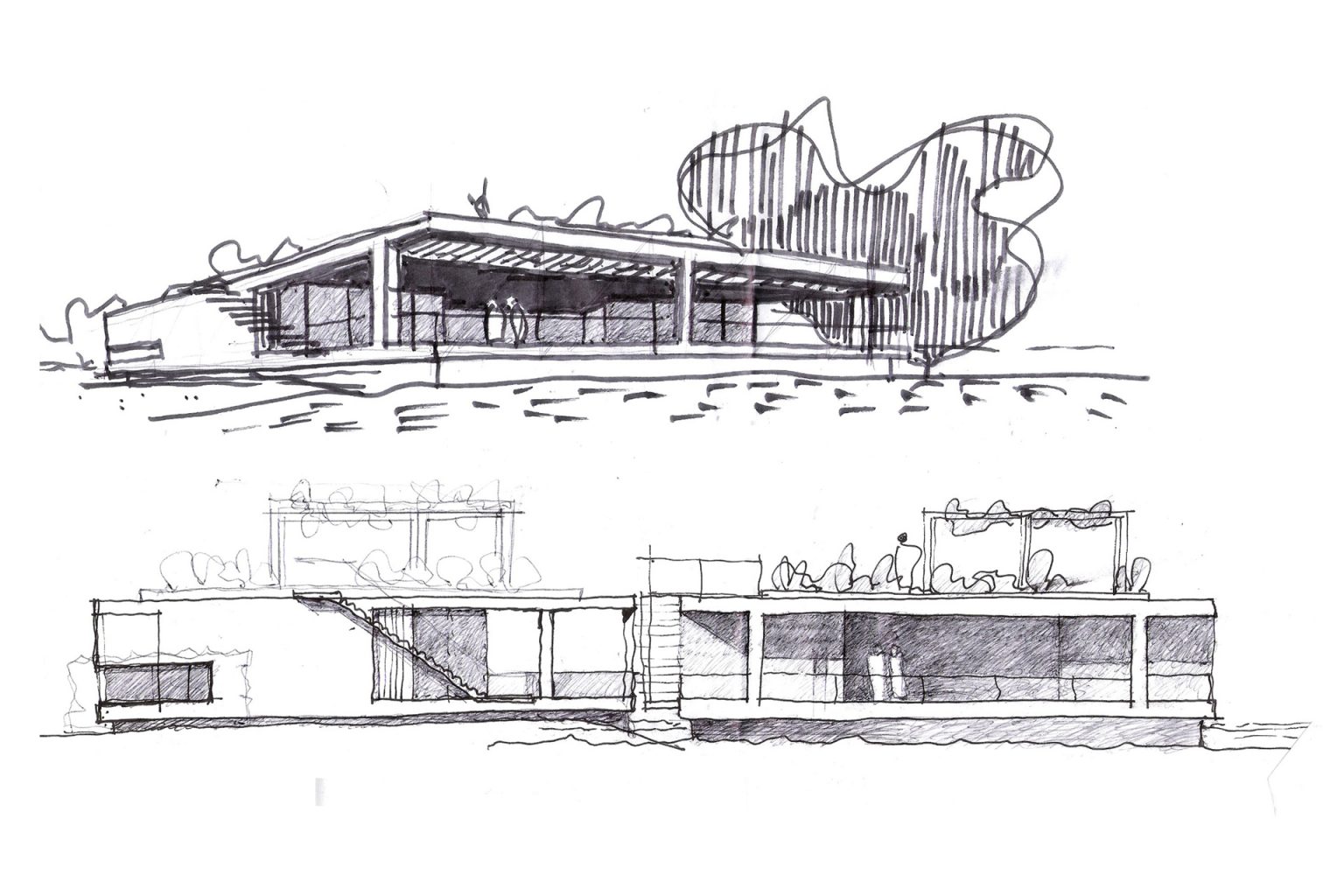 hote_dolfina_dibujo3