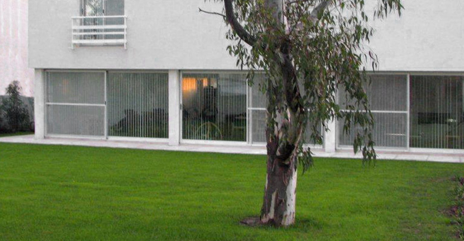 Casa-en-benavidez-textura