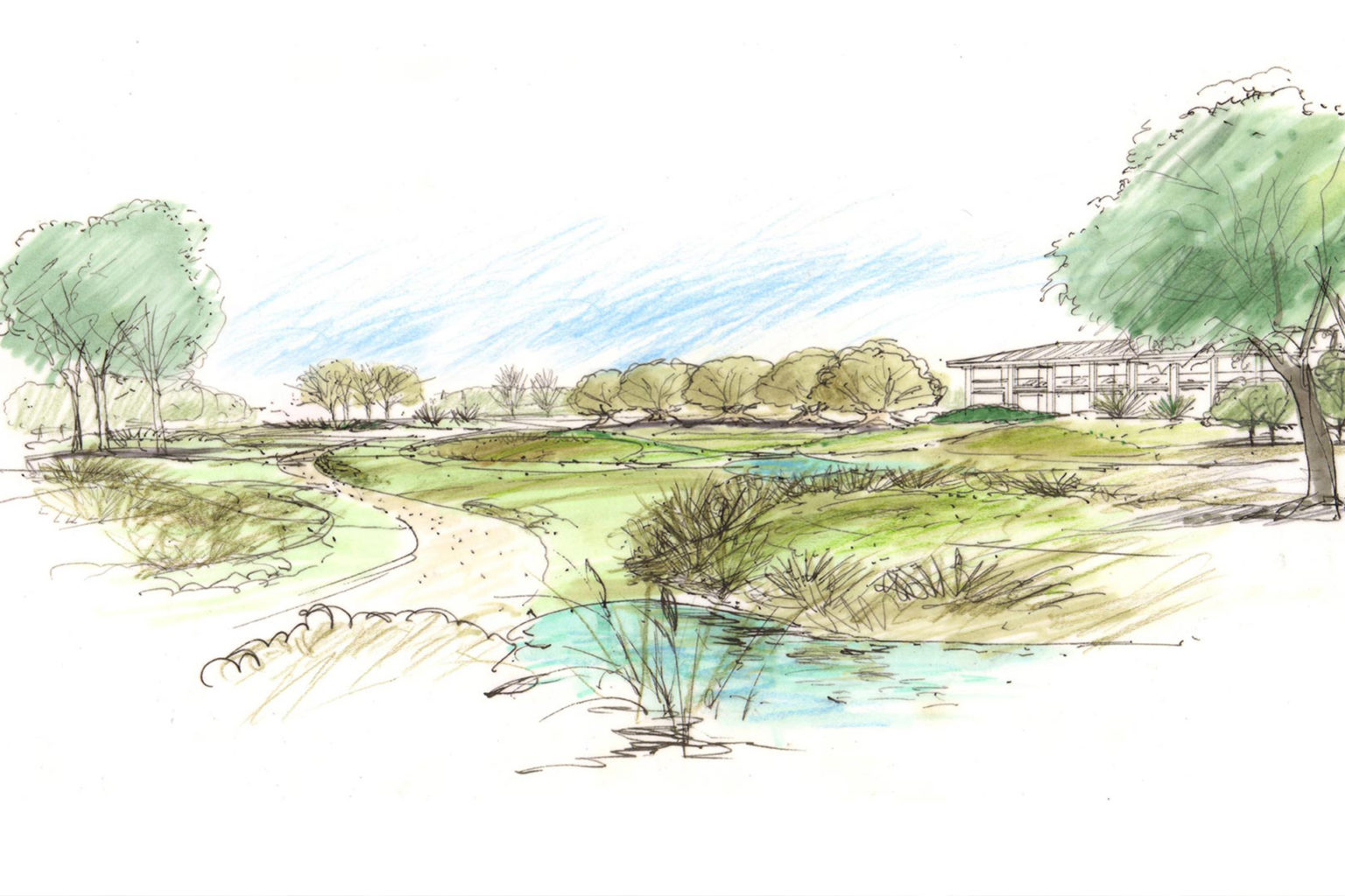 hote_dolfina_dibujo7